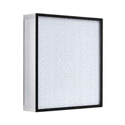 Deep Pleated HEPA Filter
